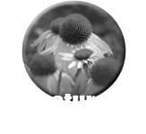 BNature